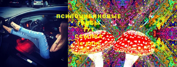 трава Новодвинск