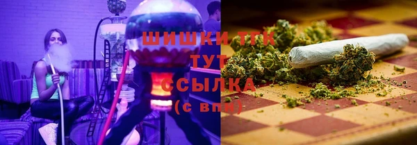 ГАЛЛЮЦИНОГЕННЫЕ ГРИБЫ Алексеевка