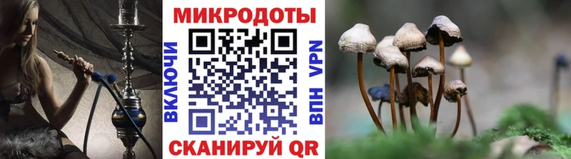 blacksprut как войти  Бакал  Псилоцибиновые грибы Cubensis 